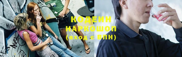 ПСИЛОЦИБИНОВЫЕ ГРИБЫ Арсеньев