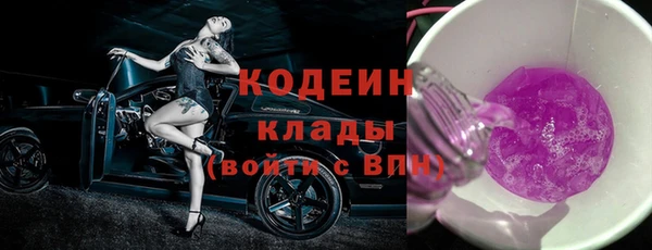 индика Зеленокумск
