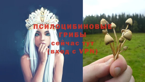 ешки Аркадак