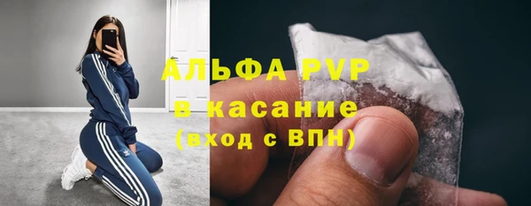 ешки Аркадак