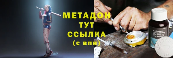ПСИЛОЦИБИНОВЫЕ ГРИБЫ Арсеньев
