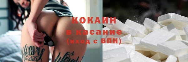 ешки Аркадак