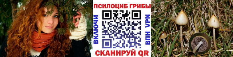 как найти закладки  Бавлы  Галлюциногенные грибы MAGIC MUSHROOMS 